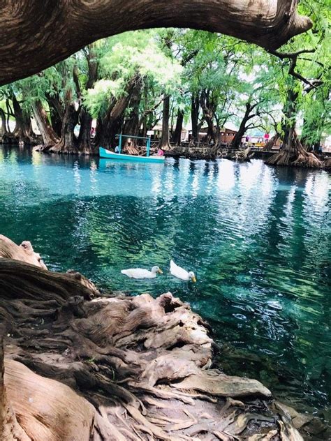 The Water Is Crystal Blue And Clear With Trees Growing On Its Sides