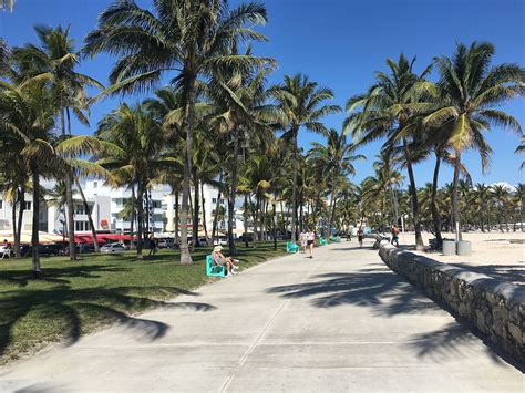 One of the best things to do in miami! ᐅ Der South Beach Miami → 2021 → Wissenswertes und Tipps