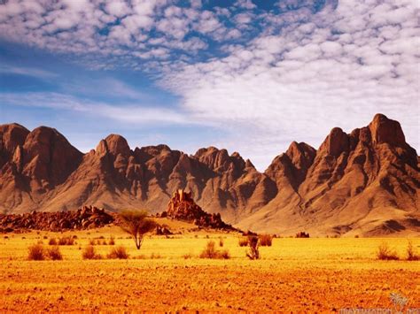 46 Desert Landscape Wallpaper Wallpapersafari