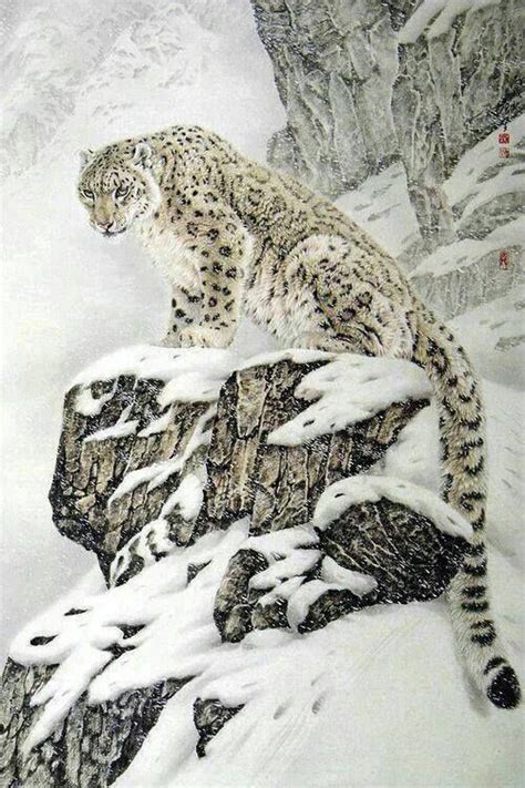 Beautiful Snow Leopard Nature And Life Pinterest
