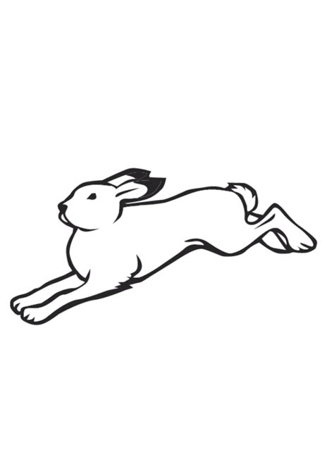 To print this free coloring page. Snowshoe Hare Coloring Page Coloring Pages