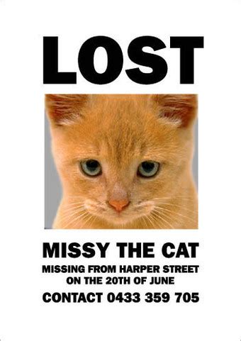 Missing cat found sitting next to missing cat poster. "Missing Missy" - A Lost Cat Story - It is a horrible ...