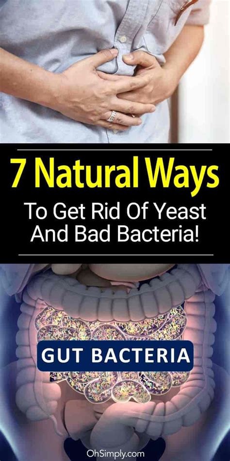 7 Natural Ways To Get Rid Of Yeast And Bad Bacteria Yeast Infection Yeast Infection Cure