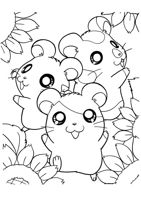 Hamster Coloring Pages To Download And Print For Free