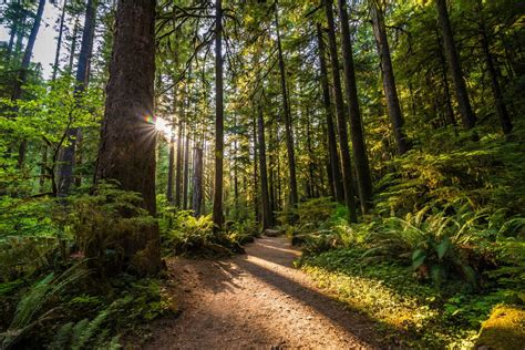 12 Excellent Thousand Trails Campgrounds When You Visit Washington