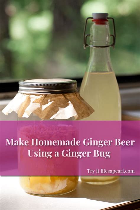 Make Homemade Ginger Beer With A Ginger Bug Ginger Bug Homemade