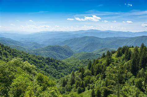 15 Things To Do In The Smoky Mountains For Outdoor Fun
