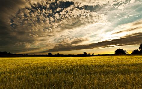 field, Sunset, Landscape Wallpapers HD / Desktop and ...