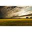 Field Sunset Landscape Wallpapers HD / Desktop And Mobile Backgrounds