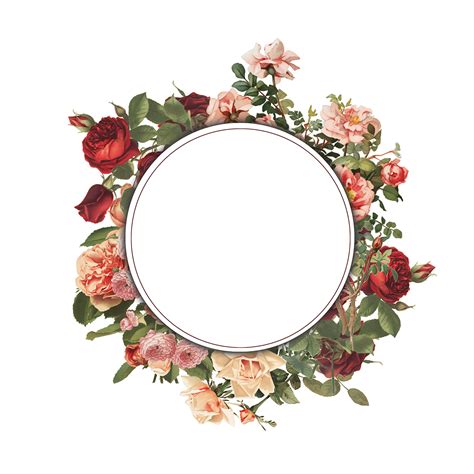 Floral frame PNG