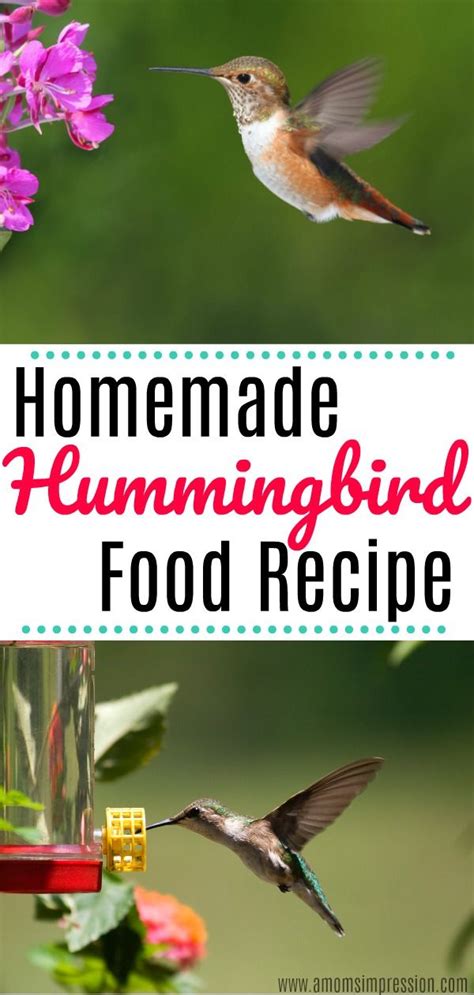 Maybe you would like to learn more about one of these? How to make DIY Homemade Hummingbird Food. This recipe is ...