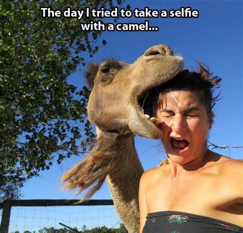13 Best Funny Selfie Jokes Images Funny Pictures Memes Wiki How