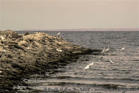 Something Stinksits The Salton Sea Coachella Valley