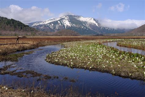 Ozegahara Marsh Nature Walk For Beginners National Parks Of Japan