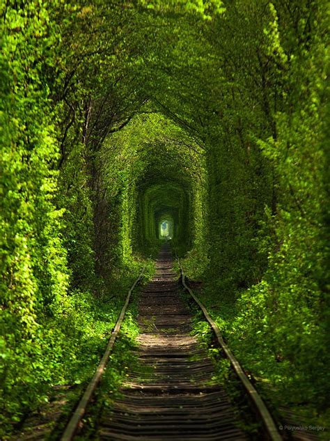 Tunnel Of Love Tunnel Of Love Tunnel Of Love Ukraine Vacation Trips