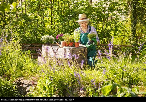 Landschaftsgärtner darf man sich nicht wie den onkel mit der rosenschere vorstellen, der sich bei sonnenschein unterm strohhut im vorgarten um die blümelein kümmert. Gärtner Garten Strohhut Pflanzen - Lizenzfreies Bild ...