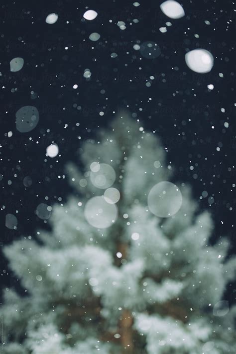 Snow Falling At Night By Stocksy Contributor Chelsea Victoria Stocksy