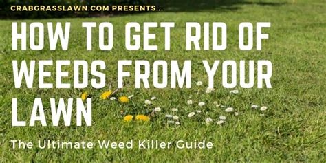 How do i get rid of coarse, clumping grass that grows throughout my lawn (without chemicals)? How To Get Rid Of Weeds From Your Lawn: The Ultimate Guide | CG Lawn