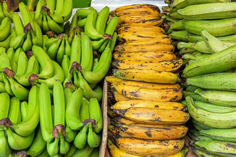 The Difference Between Bananas And Plantains Food And Nutrition Magazine