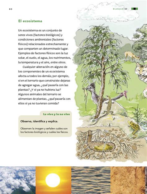 Todos los libros de ciencias naturales del ministerio de educación: Ciencias Naturales cuarto grado 2017-2018 - Página 60 - Libros de Texto Online