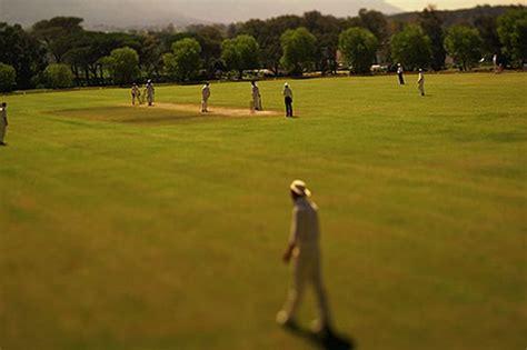 Couple Caught Having Sex On Cricket Pitch Mirror Online