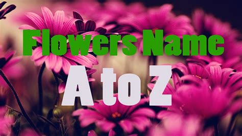 Flowers Names For Kids A To Z Bdkids Youtube