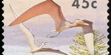 These Magnificent 107 Million Year Old Pterosaur Bones Are The Oldest
