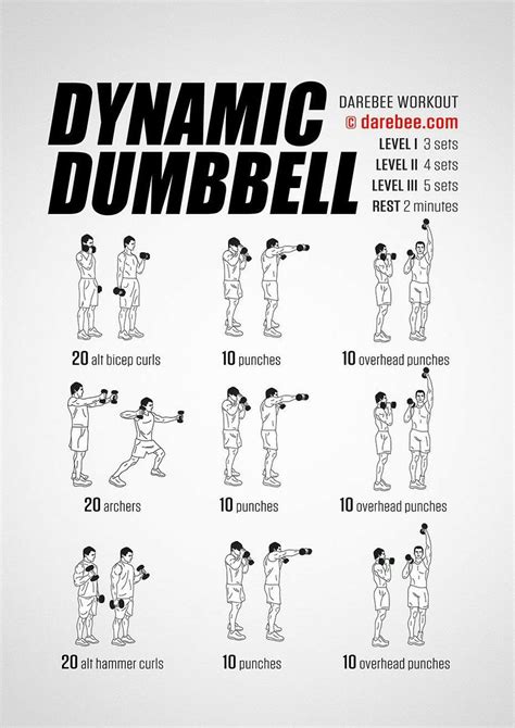Dynamic Dumbell Dumbbell Workout Dumbell Workout Workout Posters