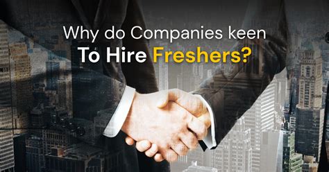 Why Are Companies Keen To Hire Freshers Guvi Blogs