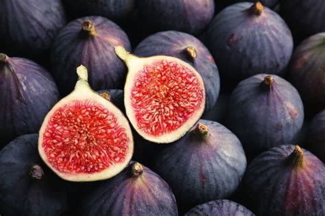 Dates Vs Figs What Is The Difference Kouroshfoods