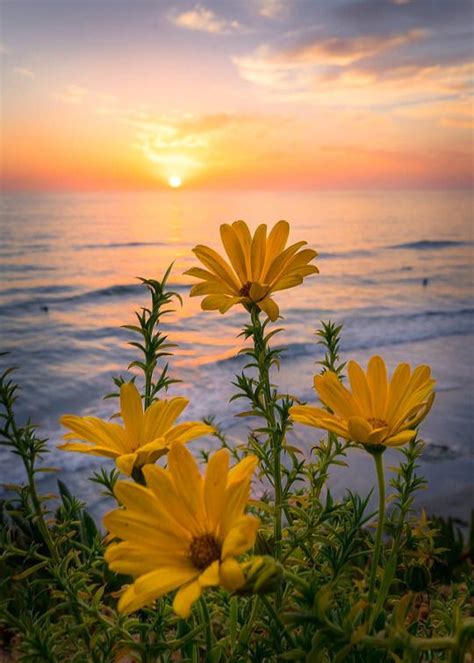 Solana Beach California By Robertlukeman Beautiful Landscapes