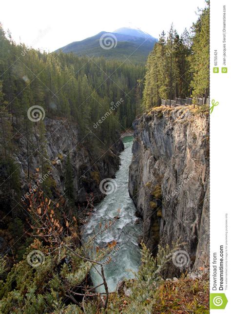 Athabasca Falls Canadian Rockies Stock Photo Image Of