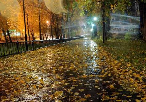 Dozhd, also known as tv rain, is a russian independent television channel with focus on news, discussions, culture, politics, business repor. Дождливая осень картинка - картинки и фото осень дождь ...