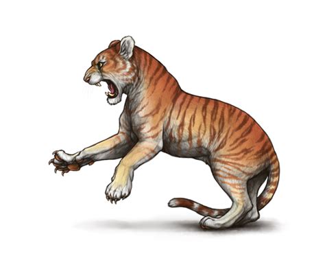 Retired Tigon Hype Lioden Wiki