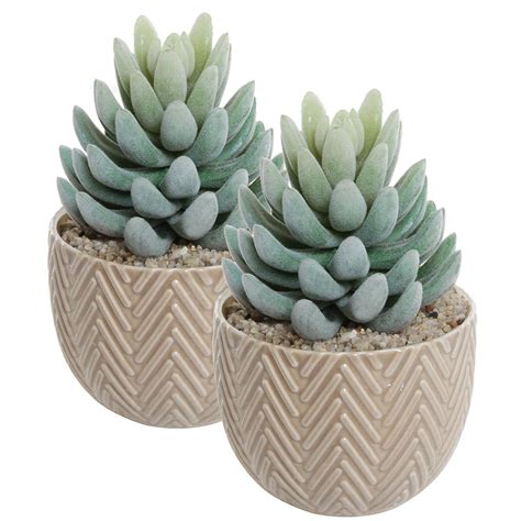 Choosing the right succulents for yourself can be quite intimidating, especially if you are unsure if you have a space in your home where it can happily grow and get enough sunlight daily at the same time. Amazon.com: Set of 2 Small Decorative Beige Ceramic ...