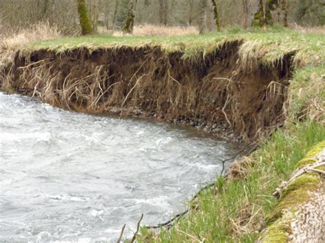 Winter Storms Bring Streambank Erosion Clackamas Swcd