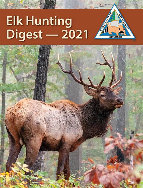 Apply during May for MDC fall elk-hunting permits | Missouri Department