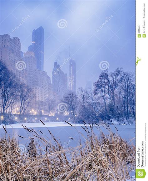 Central Park New York City Snow Storm Stock Image Image Of Cold