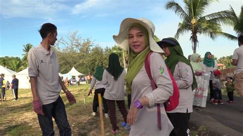 20 minit ke bandar kuala terengganu 5 minit ke bandar marang 5 minit ke jeti ke pulau. CSR PNMB Penanaman Pokok @ Pulau Kekabu, Marang ...