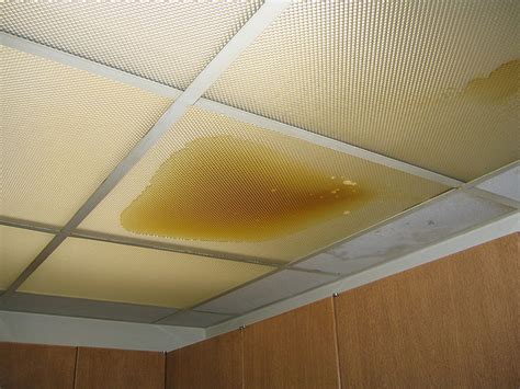 Yellow Water Leaking From Ceiling Americanwarmoms Org