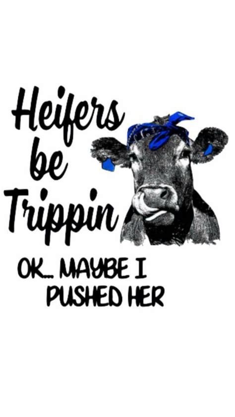 Pin By Lorrie Roberts On Sayings Cow Quotes Cows Funny Cow Pictures