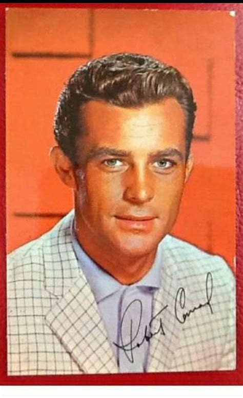 robert conrad 60s models hottest male celebrities photo postcards man crush warner bros