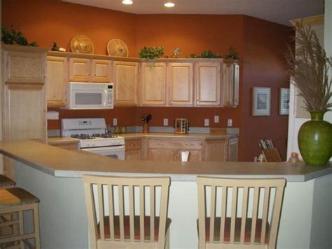 Terracotta pots are durable, inexpensive and available in a range of sizes. Terracotta Kitchen, Just painted the kitchen with a rich ...