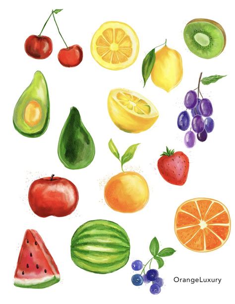 Buy Watercolor Fruits Clipart Instant Download Watermelon Online In
