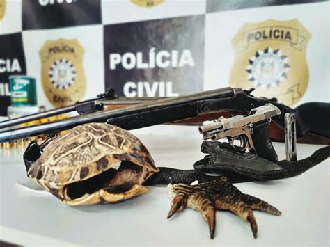 Polícia Civil desencadeia operação contra a caça ilegal de animais
