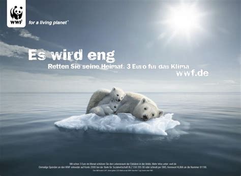 Spendenkampagne Zur Rettung Des Klimas Und Der Eisbären World