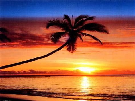 Последние твиты от sunset (@sunset). Adobe Photoshop CS5: Removing Items from an Image with ...