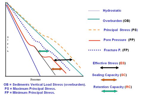 The Double Edged Sword: The Impact of the Interaction ...