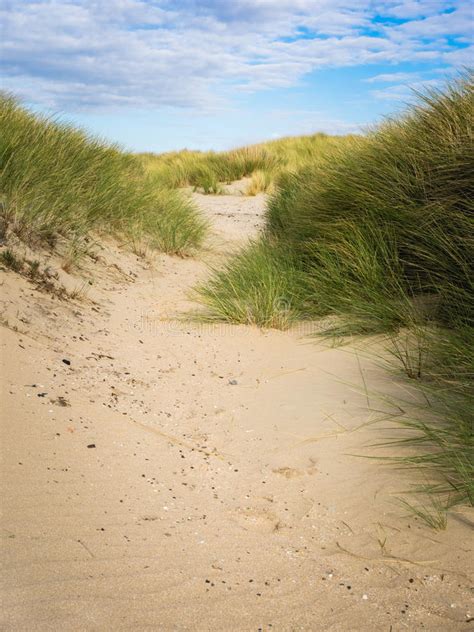 Sand Path Through Dune Grass Stock Image Image Of Route Holland