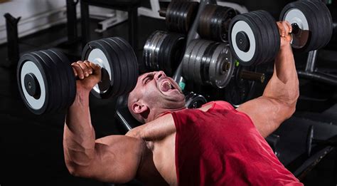 Press En Banco Inclinado Musculación Total